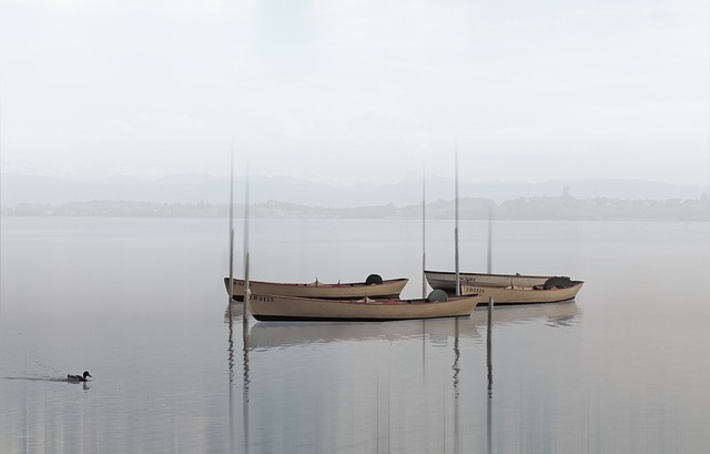 Fiskrestauranger i Sverige